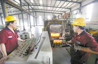 武強 技術開發(fā)領域的璀璨新星與未來展望